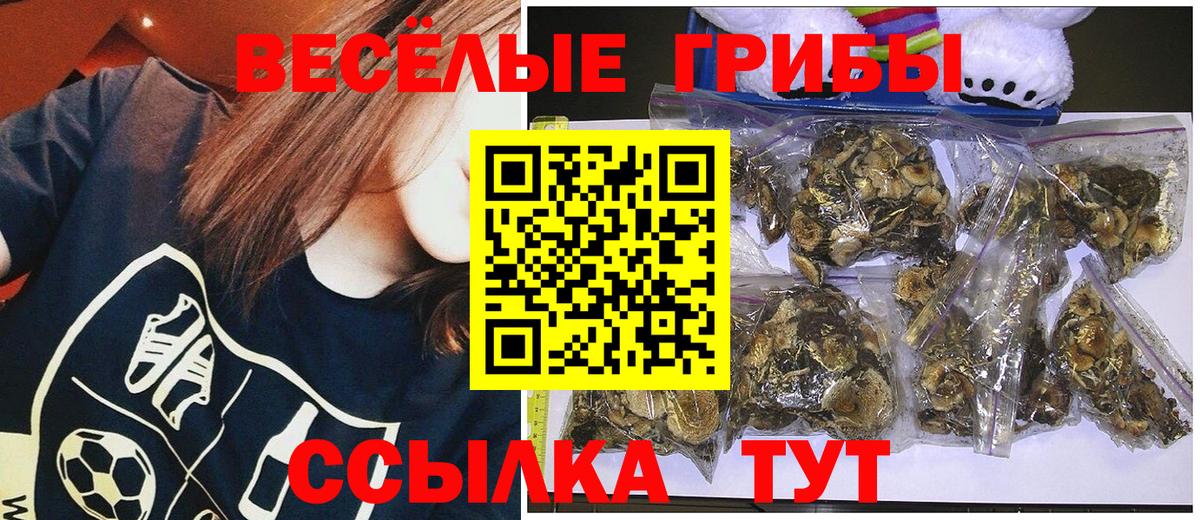 Псилоцибиновые грибы Magic Shrooms  Вход с VPN  Псилоцибиновые грибы Psilocybe  Коряжма 