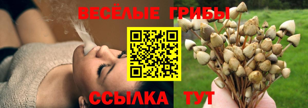 Псилоцибиновые грибы MAGIC MUSHROOMS Коряжма